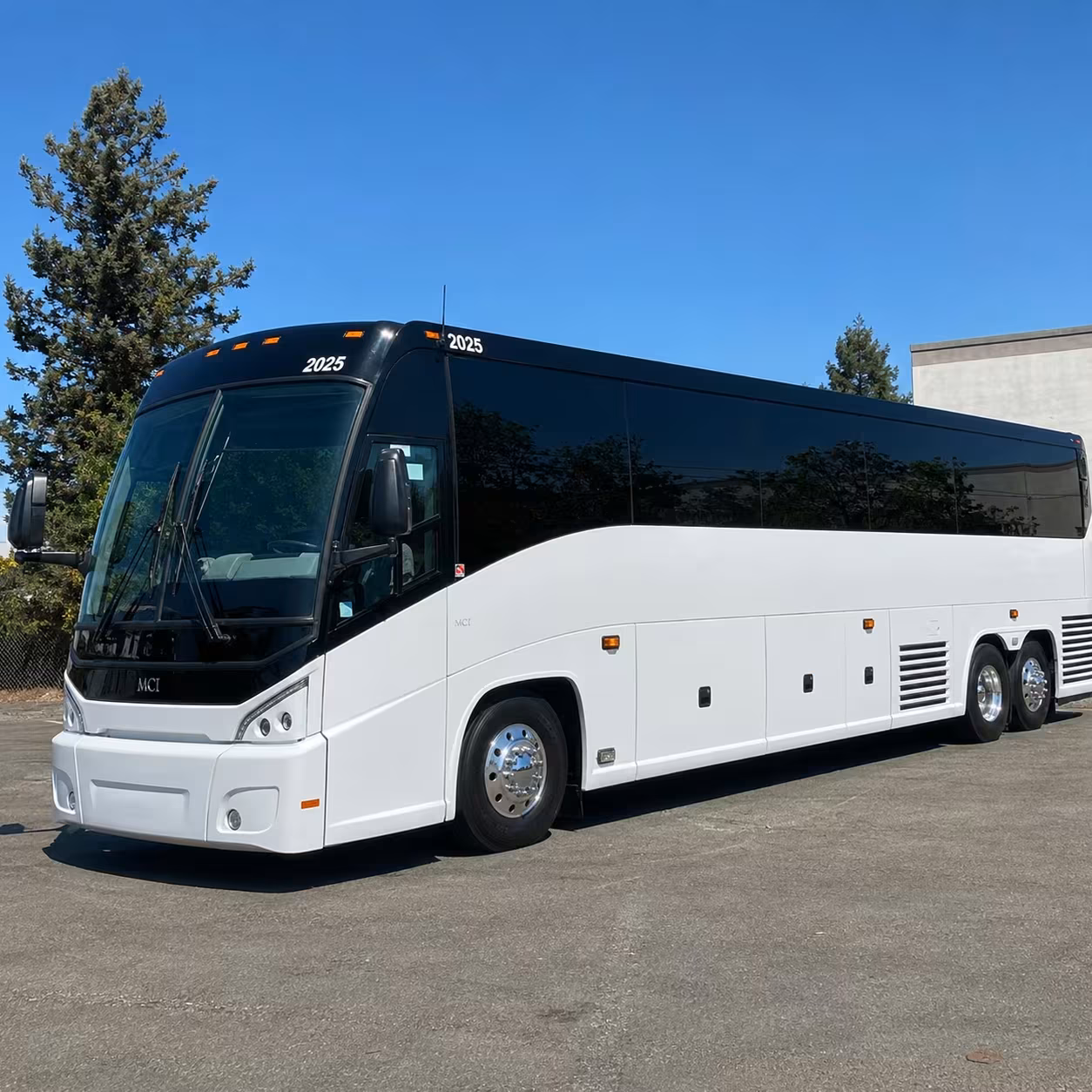multi venue wedding charter bus rentals in new orleans