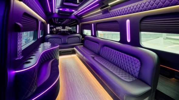 new orleans sprinter limo rental inside