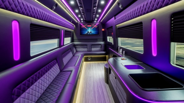 new orleans sprinter limo rental rental